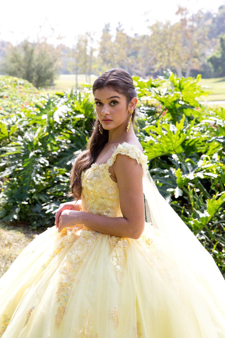 3D Floral Sleeveless Cape Ball Gown by Petite Adele PQ1009