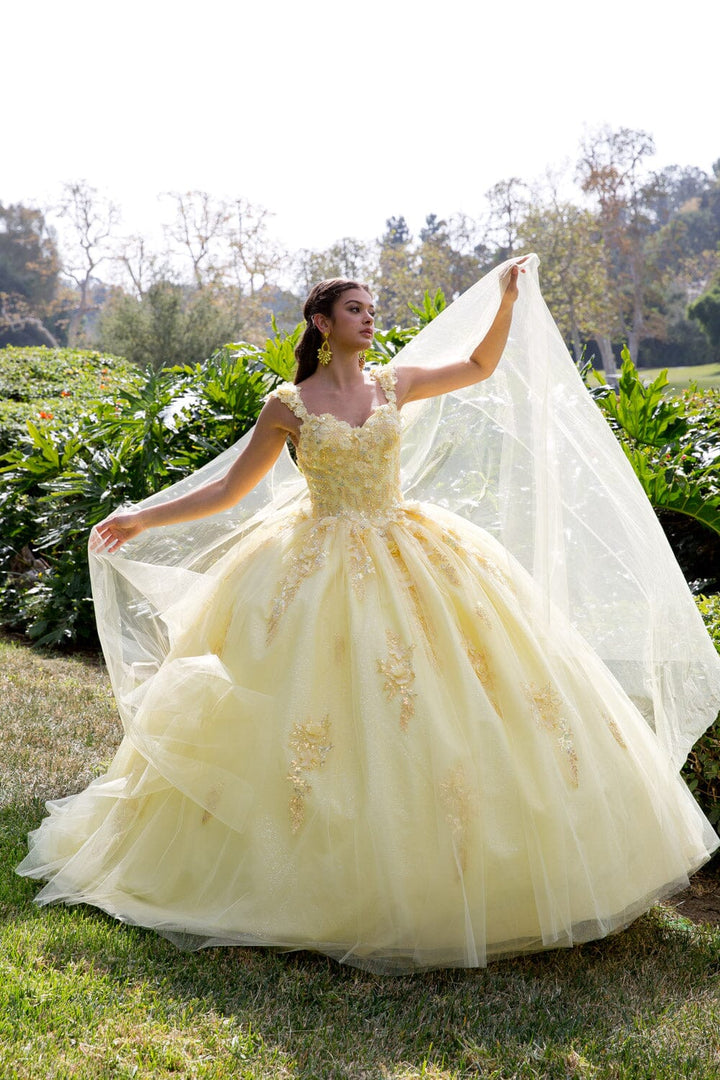 3D Floral Sleeveless Cape Ball Gown by Petite Adele PQ1009