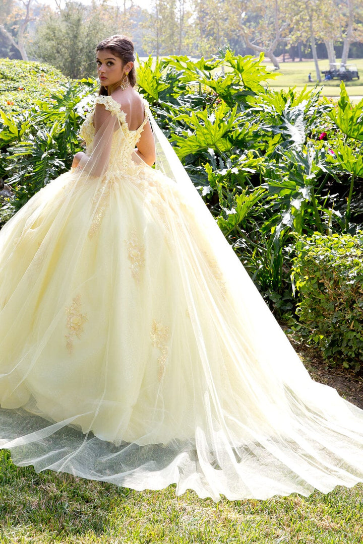 3D Floral Sleeveless Cape Ball Gown by Petite Adele PQ1009