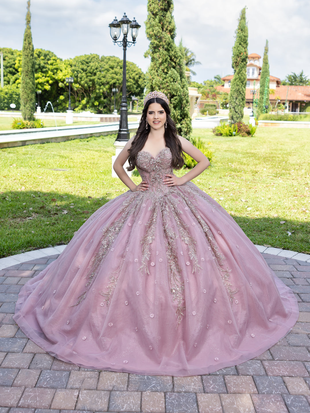 Applique Strapless Ball Gown by LizLuo Fiesta 56532