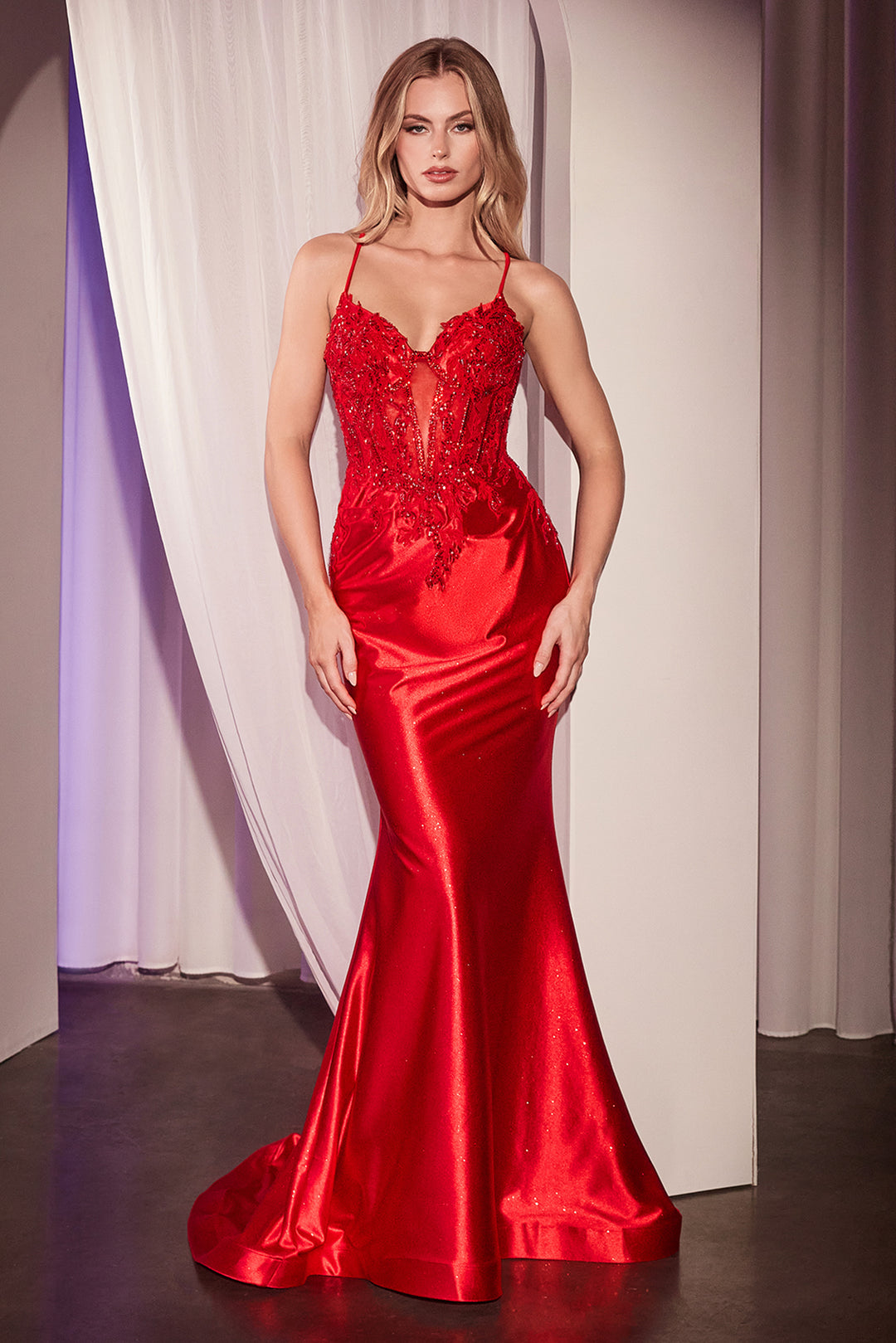 Applique Satin Sleeveless Slit Gown by Ladivine CC2401