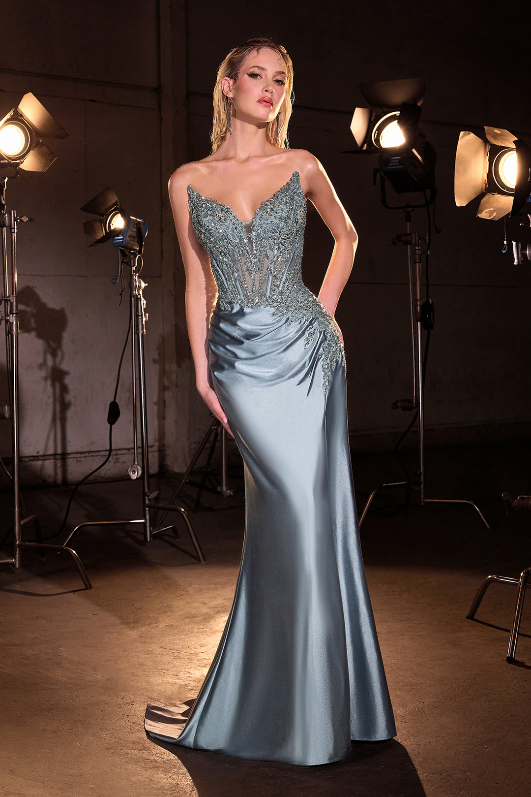 Applique Satin Fitted Strapless Gown by Ladivine CD714