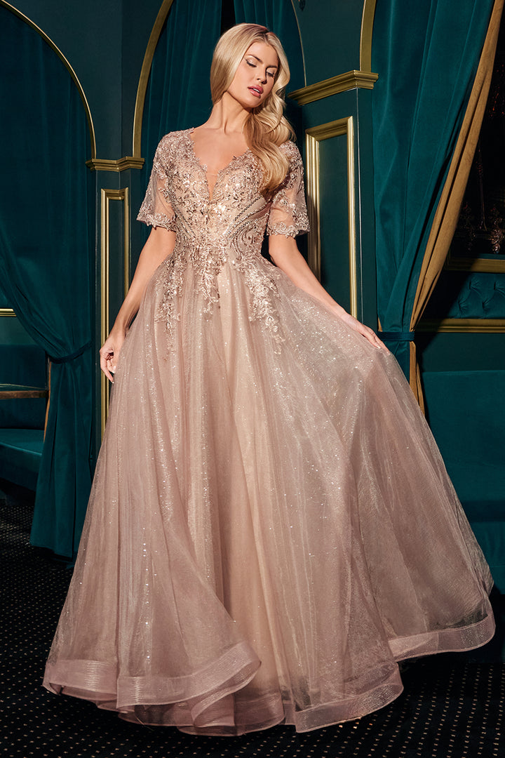 Applique Short Sleeve A-line Gown by Ladivine CD726