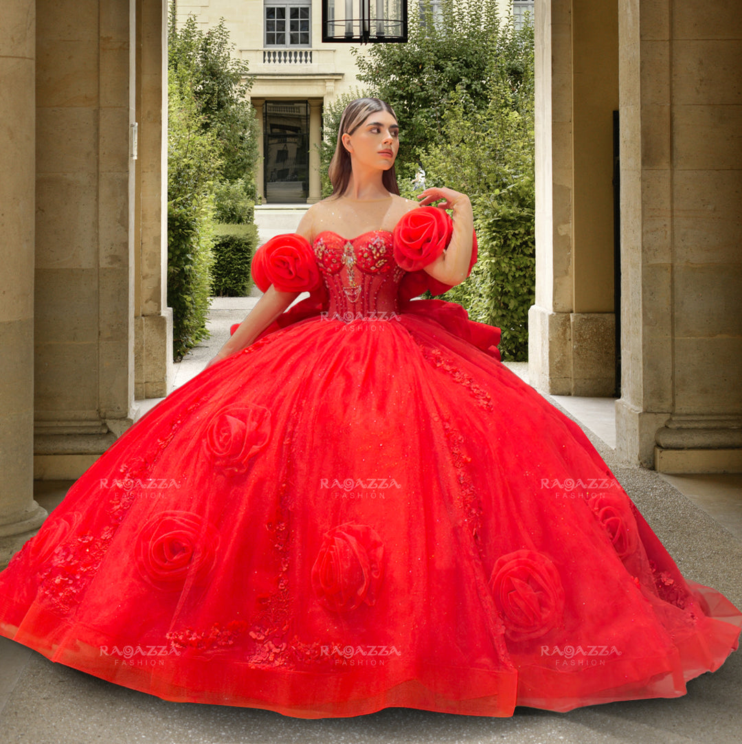 Rosette Quinceanera Dress by Ragazza EV63-663