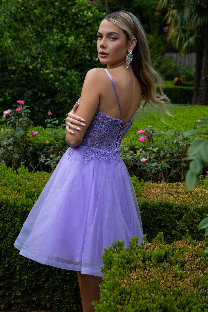Embroidered Short A-line Dress by Elizabeth K GS3515