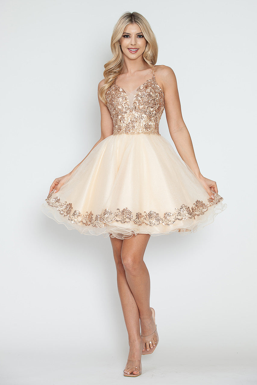 Elegant Evening Formal Dresses Short Prom Dresses Nordstrom Embroidered  Short Sleeveless A-Line Dress By Lenovia