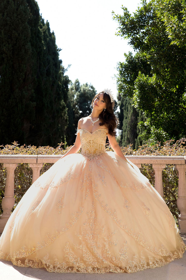 Off Shoulder Corset Ball Gown by Petite Adele PQ1060