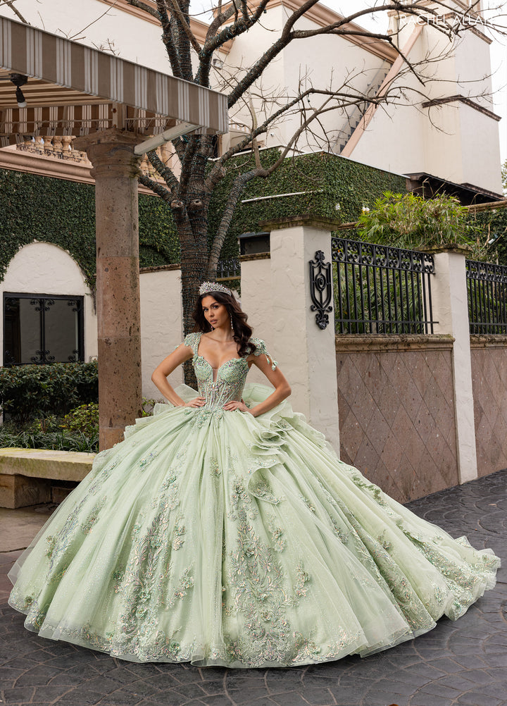 Cap Sleeve Quinceanera Dress by Rachel Allan RQ3163