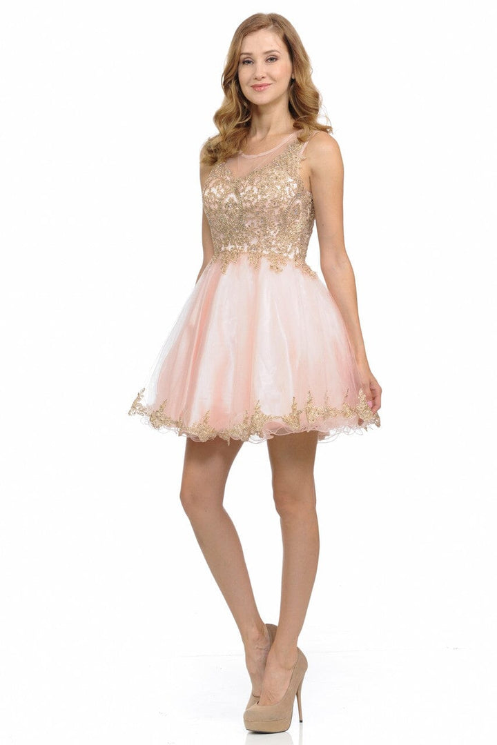 Applique Short Sleeveless A-line Dress by Lenovia 8101