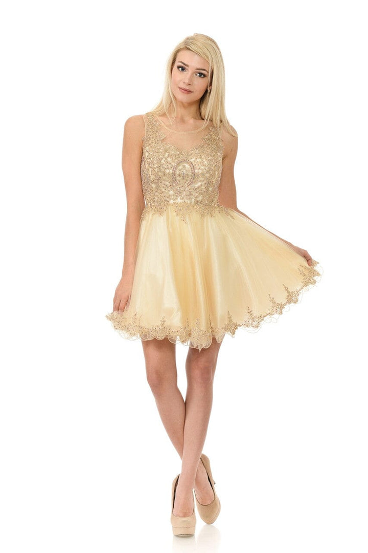 Applique Short Sleeveless A-line Dress by Lenovia 8101