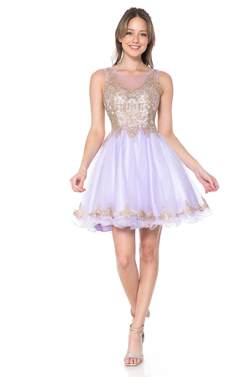 Applique Short Sleeveless A-line Dress by Lenovia 8101
