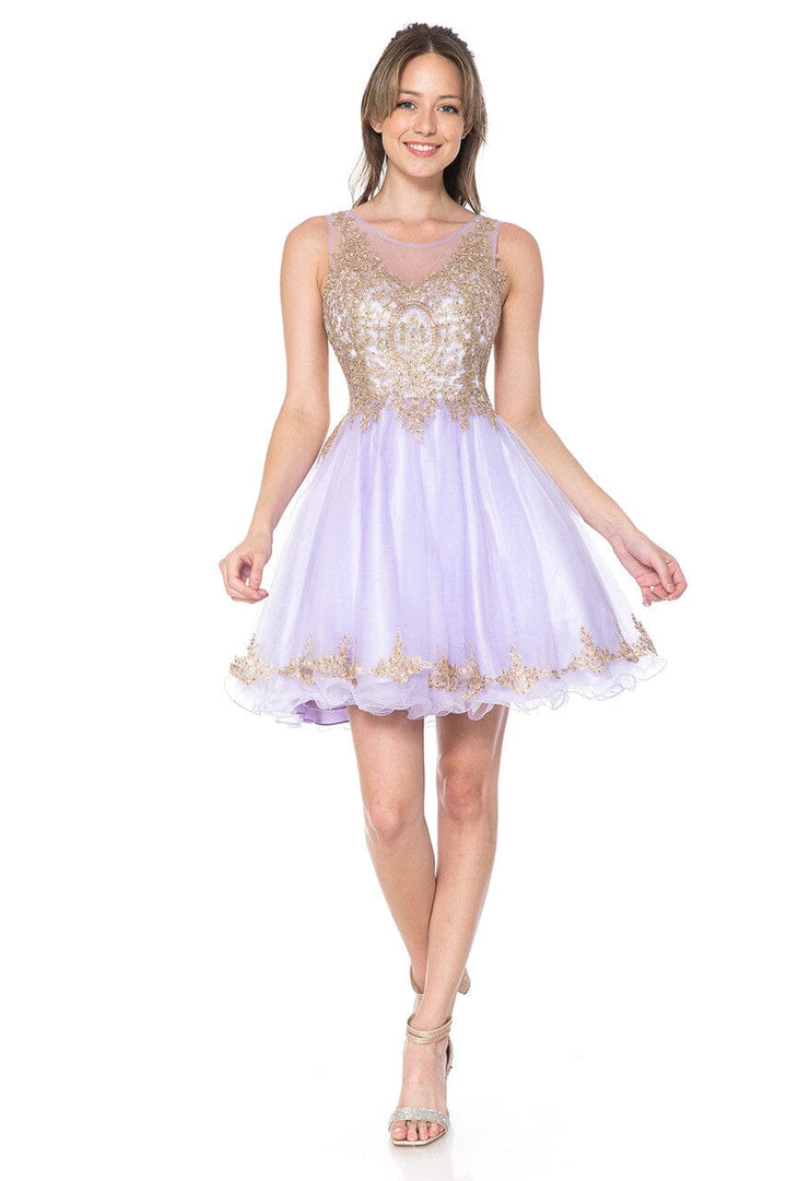Applique Short Sleeveless A-line Dress by Lenovia 8101