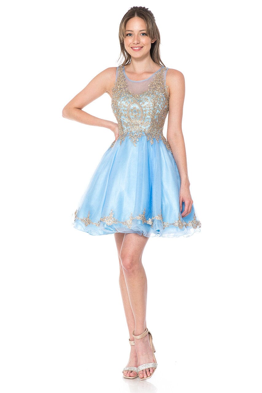 Applique Short Sleeveless A-line Dress by Lenovia 8101