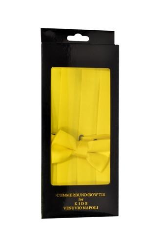 Boys Yellow Cummerbund and Bow Tie Set-Boys Cummerbund-ABC Fashion