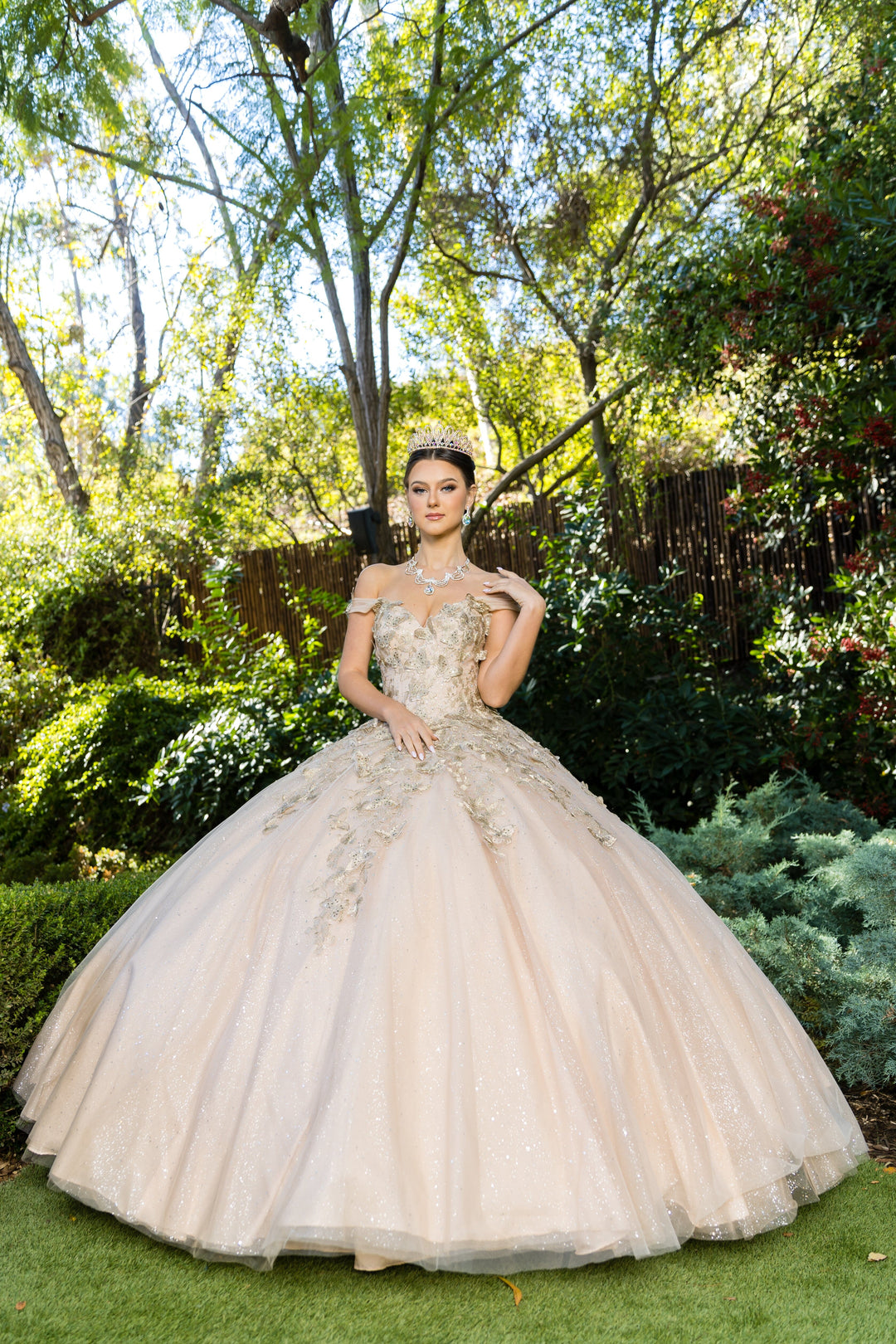 Butterfly Sweetheart Ball Gown by Cinderella Couture 8046J