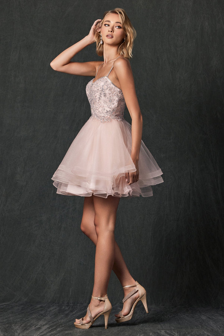 Embroidered Short Layered Dress by Juliet 849
