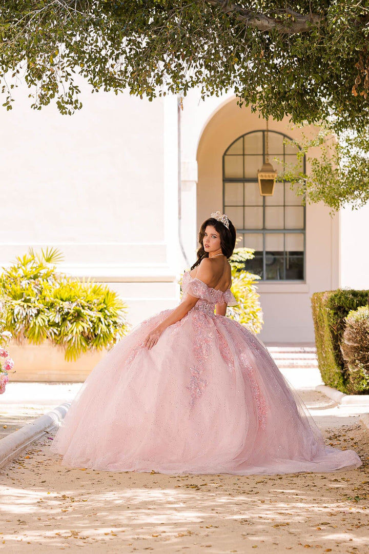 Embroidered Sweetheart Ball Gown by Petite Adele PQ1026