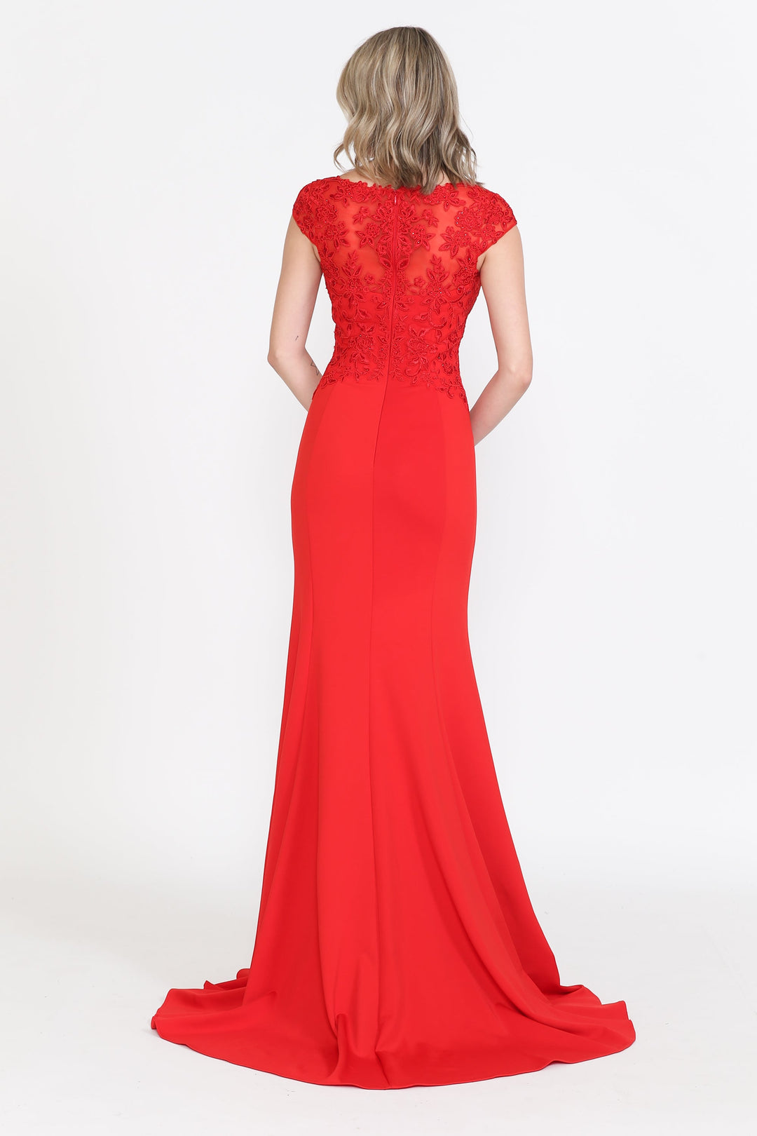 Fitted Embroidered Cap Sleeve Gown by Poly USA 8558