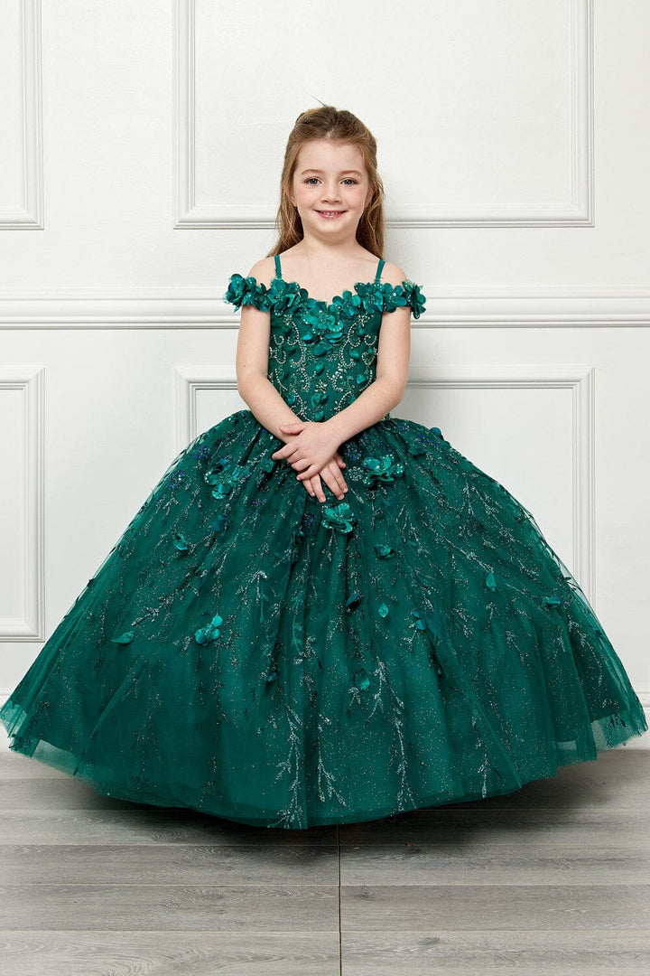 Girls 3D Floral Cloak Ball Gown by Petite Adele PK1004