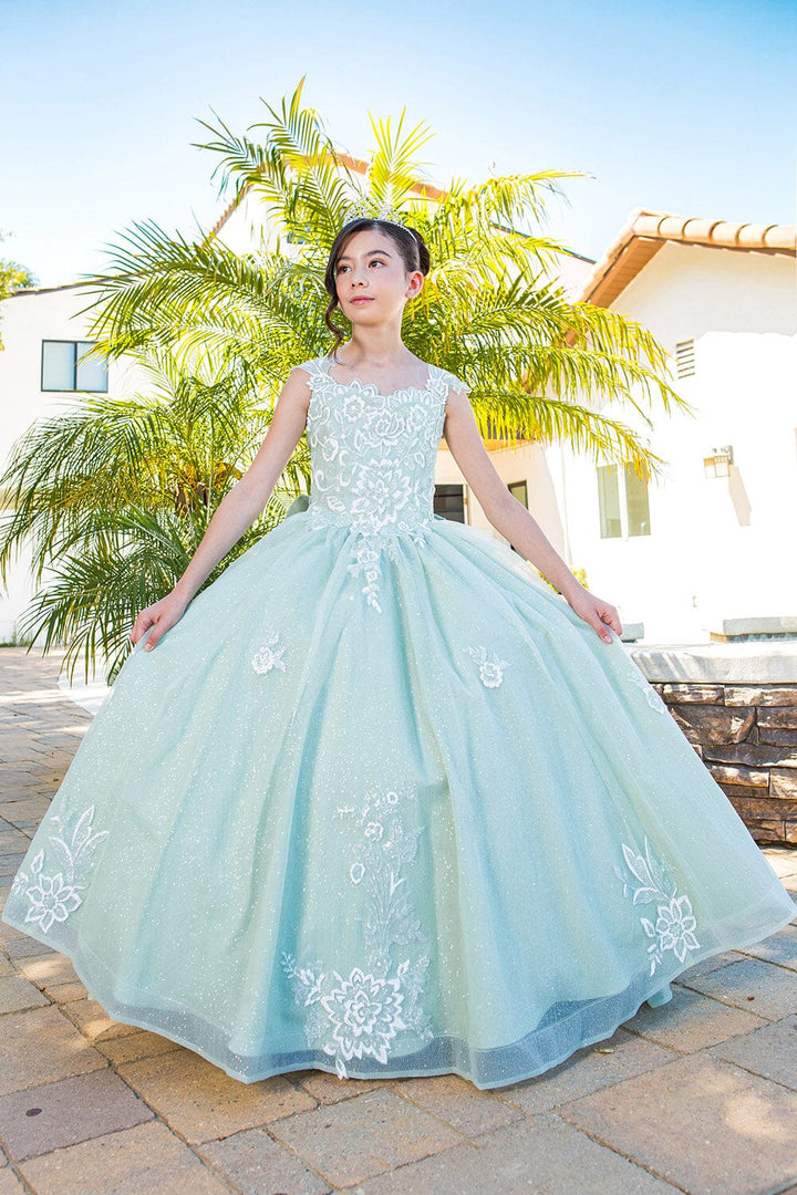 Girls Applique Cap Sleeve Gown by Cinderella Couture 5116