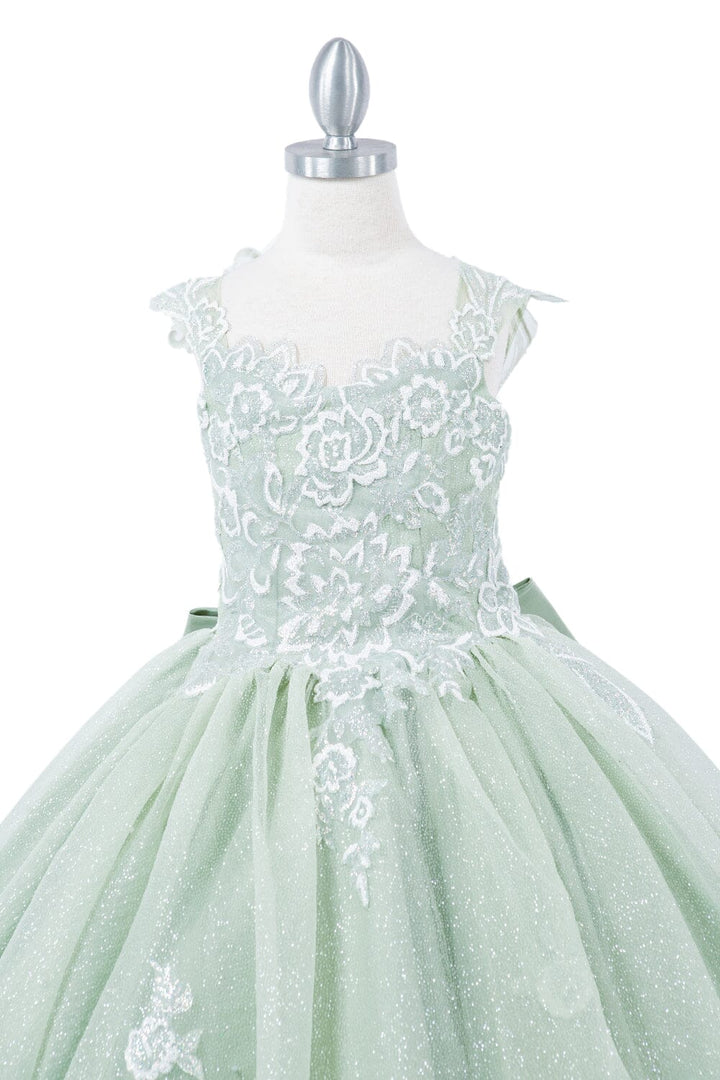 Girls Applique Cap Sleeve Gown by Cinderella Couture 5116