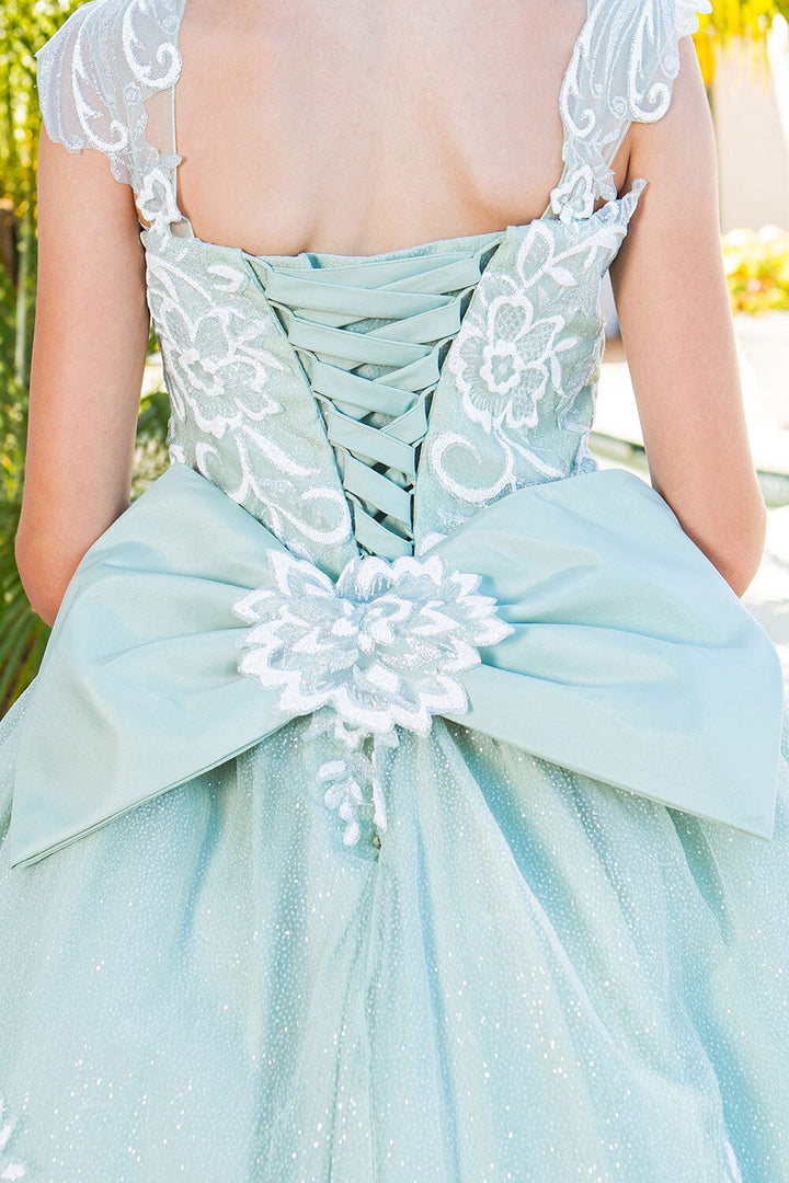 Girls Applique Cap Sleeve Gown by Cinderella Couture 5116