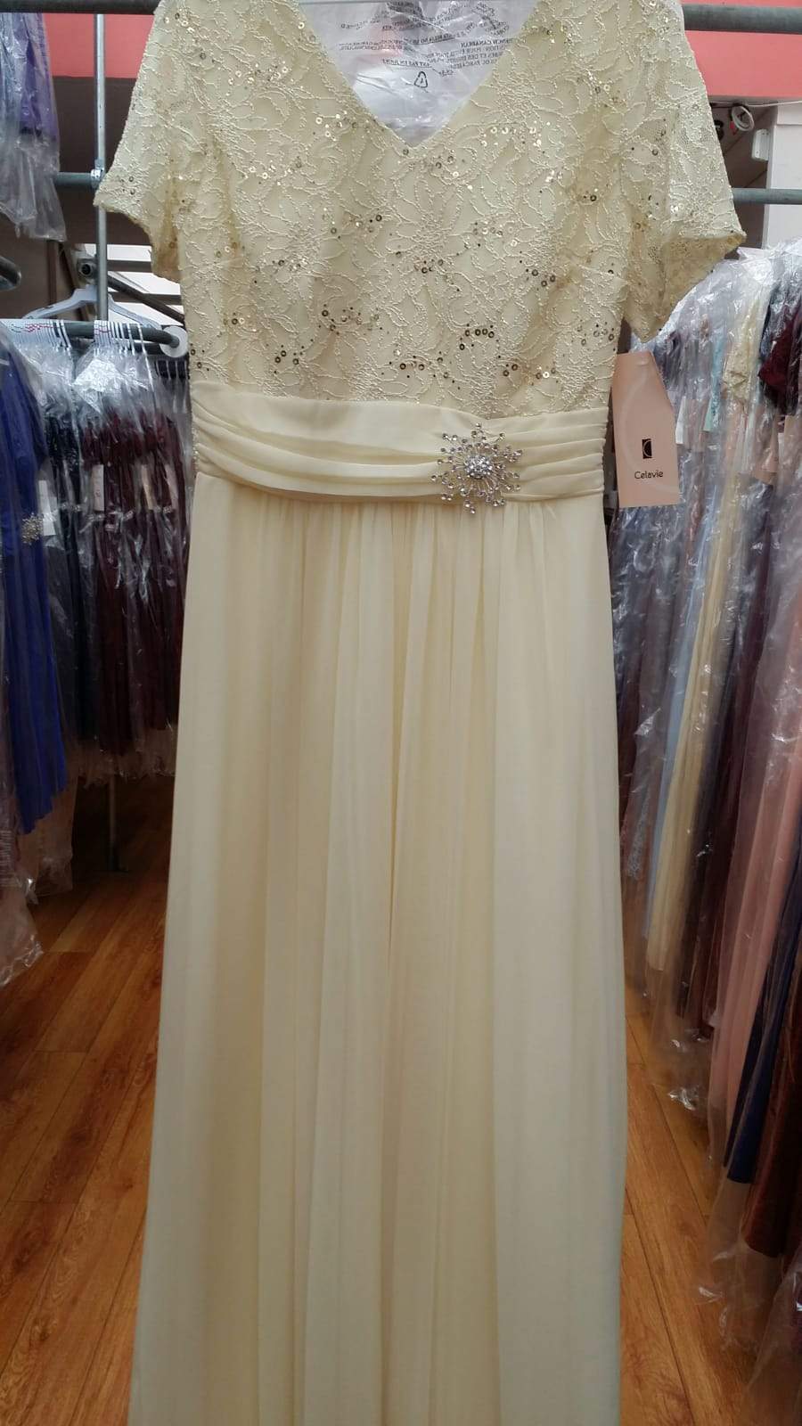 Long Lace Bodice Dress with Short Sleeves by Celavie 6320L