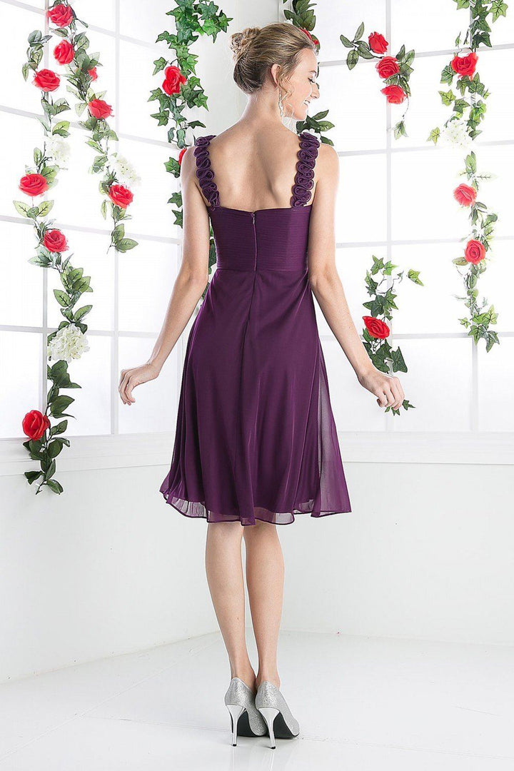 Pleated Short Sleeveless Dress by Cinderella Divine 3801