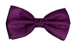 Plum Paisley Bow Ties with Matching Pocket Squares-Men's Bow Ties-ABC Fashion