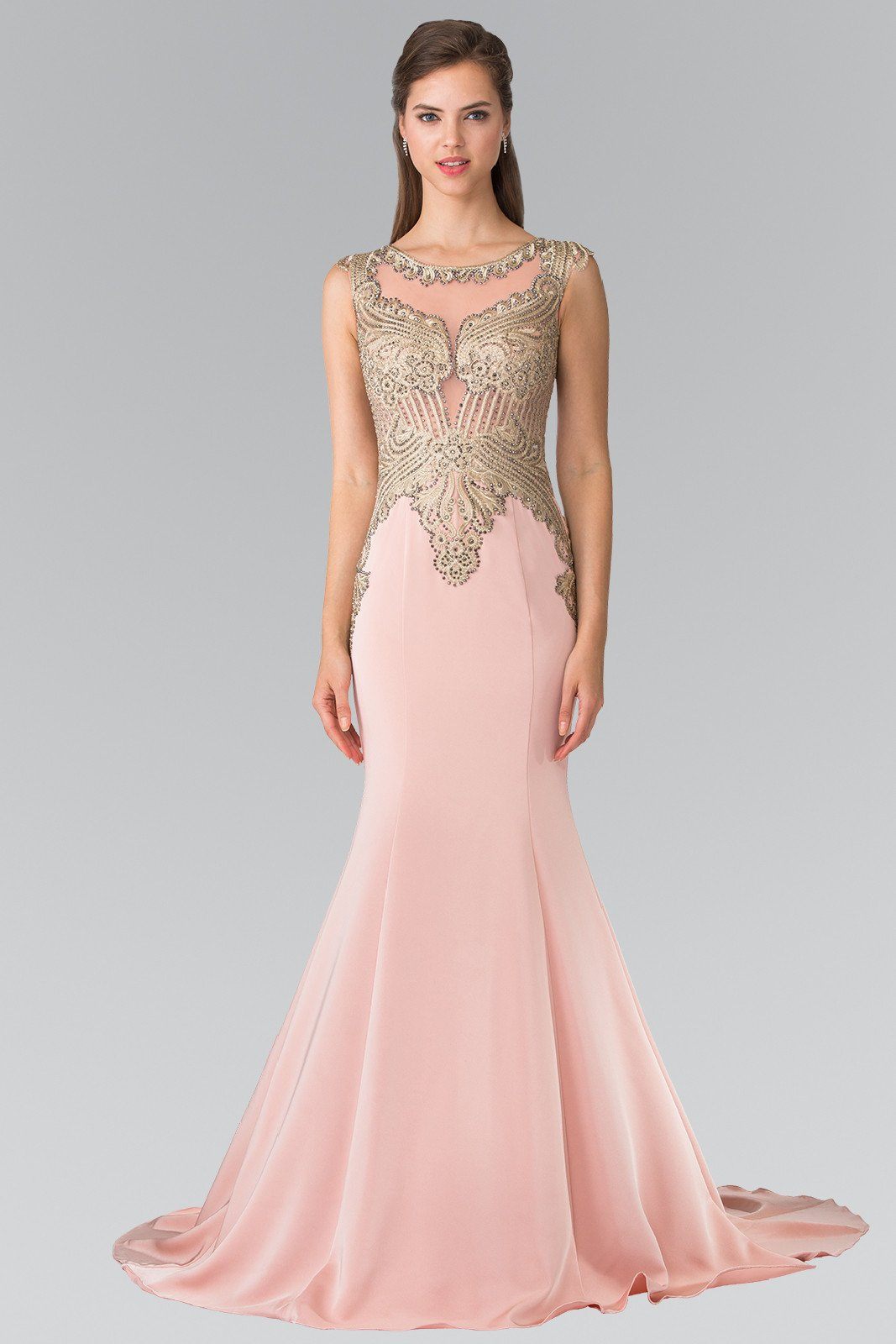 Sleeveless Embroidered Illusion Gown by Elizabeth K GL1461-Long Formal Dresses-ABC Fashion