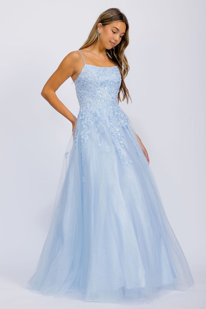 Applique Sleeveless A-line Gown by Eureka EK197