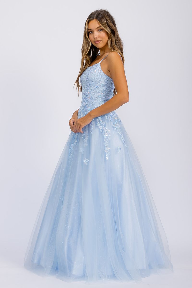 Applique Sleeveless A-line Gown by Eureka EK197