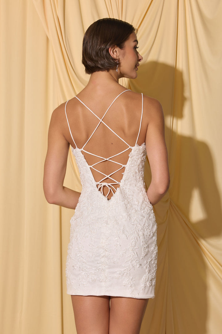 Applique Tulle Short Sleeveless Dress by Eureka EK229
