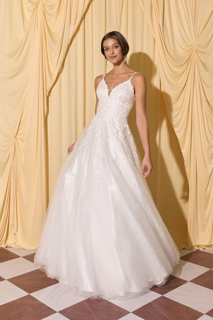 Applique V-Neck Bridal A-line Gown by Eureka EK210