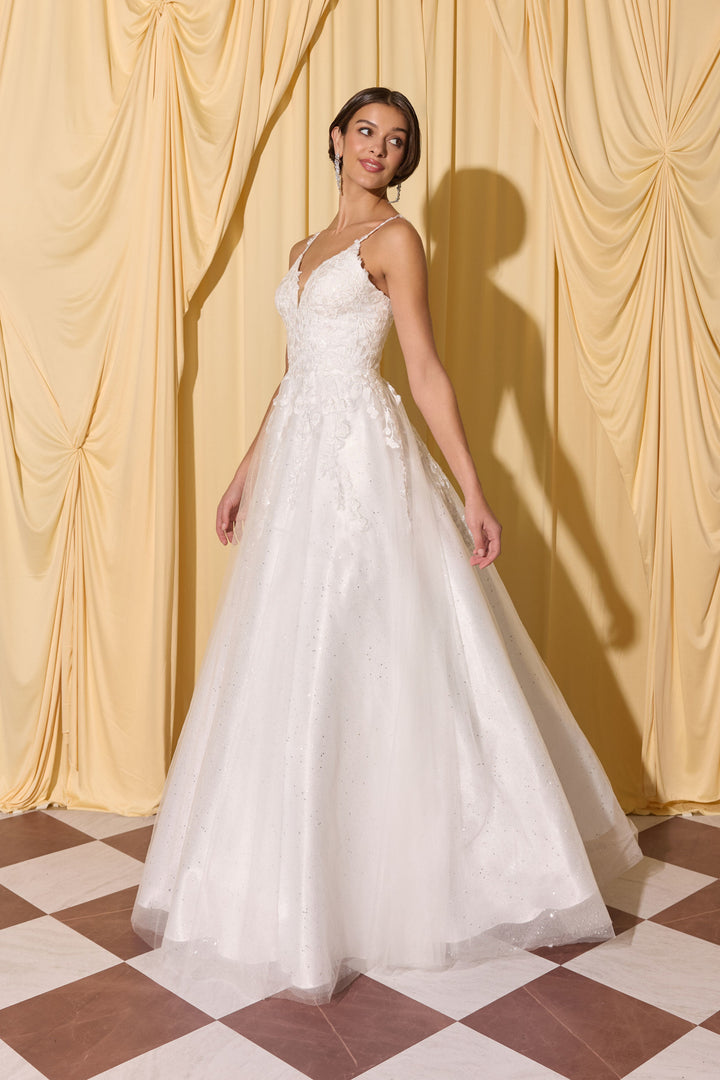Applique V-Neck Bridal A-line Gown by Eureka EK210