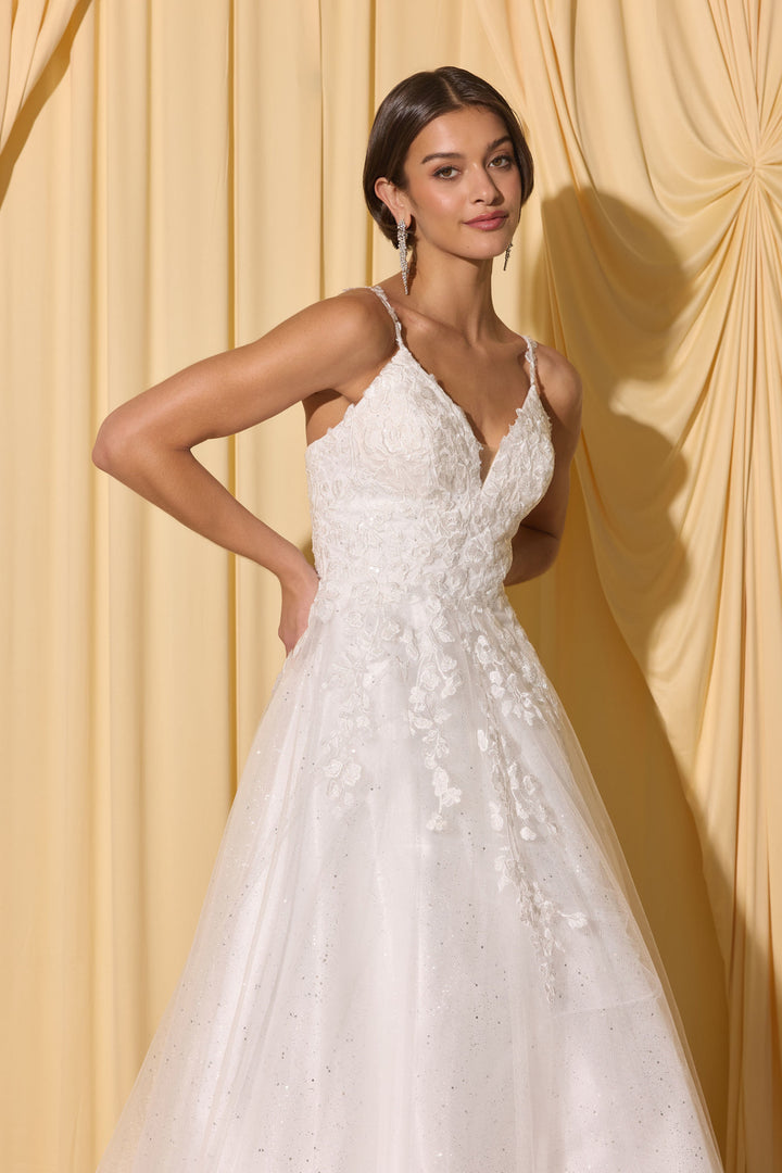 Applique V-Neck Bridal A-line Gown by Eureka EK210