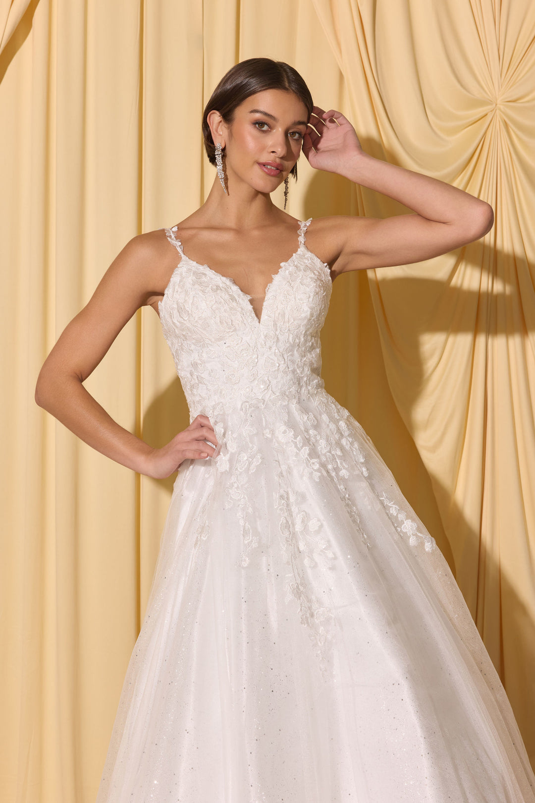 Applique V-Neck Bridal A-line Gown by Eureka EK210