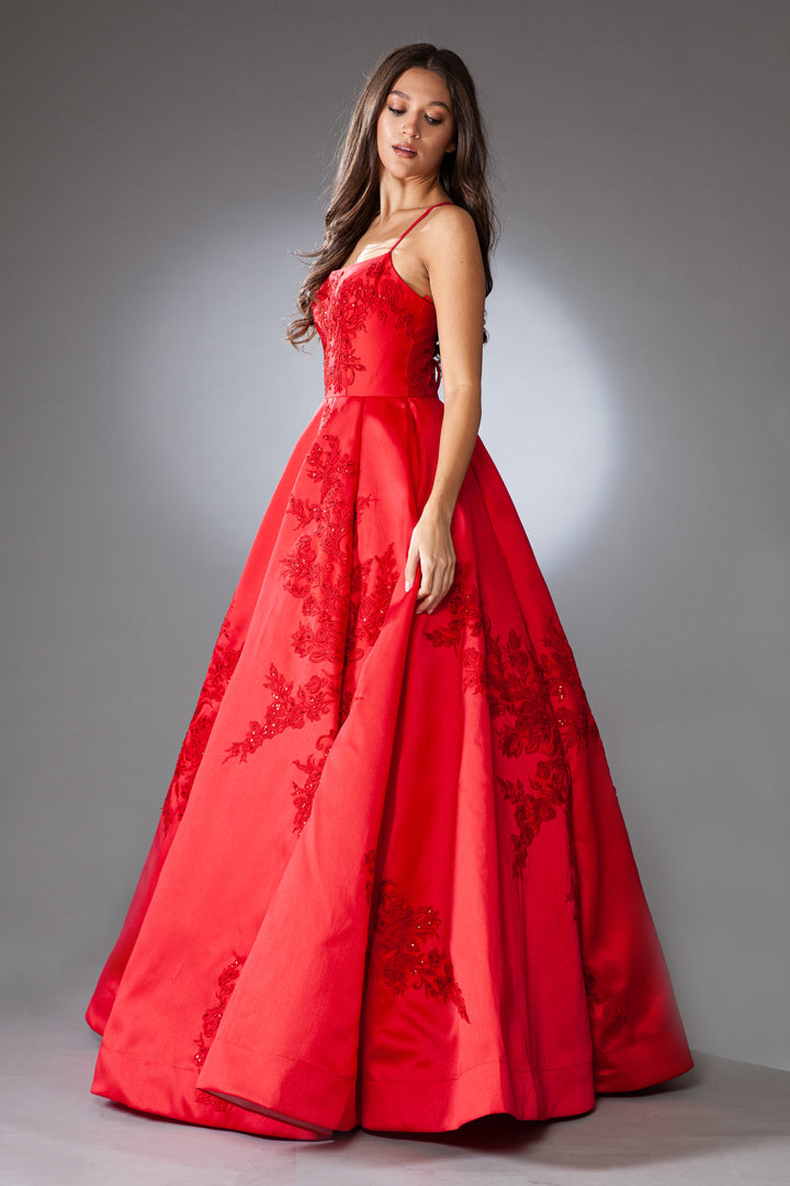 Embroidered Sleeveless Ball Gown by Amelia Couture SU074