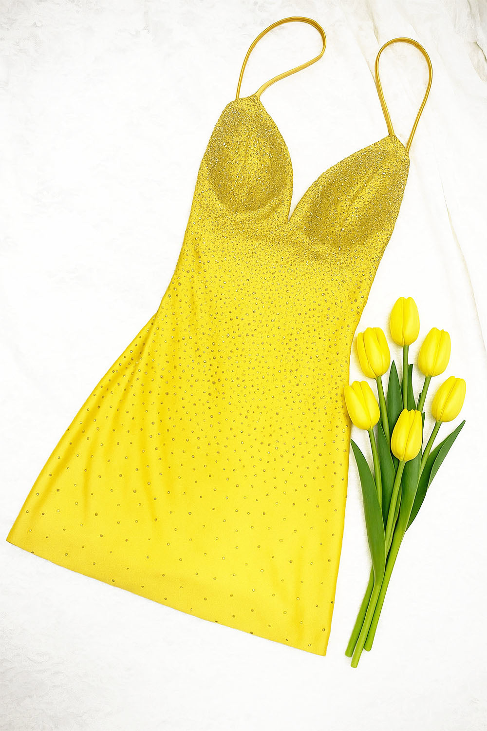 Beaded Short Sleeveless Dress by Amelia Couture 3100S