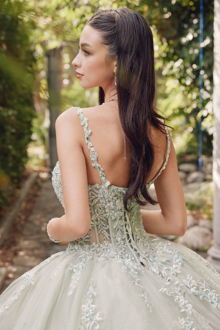 Embroidered Sleeveless Corset Ball Gown by Juliet JT1450J