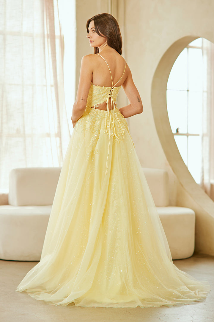 Applique V-Neck A-line Gown by Amelia Couture 9079