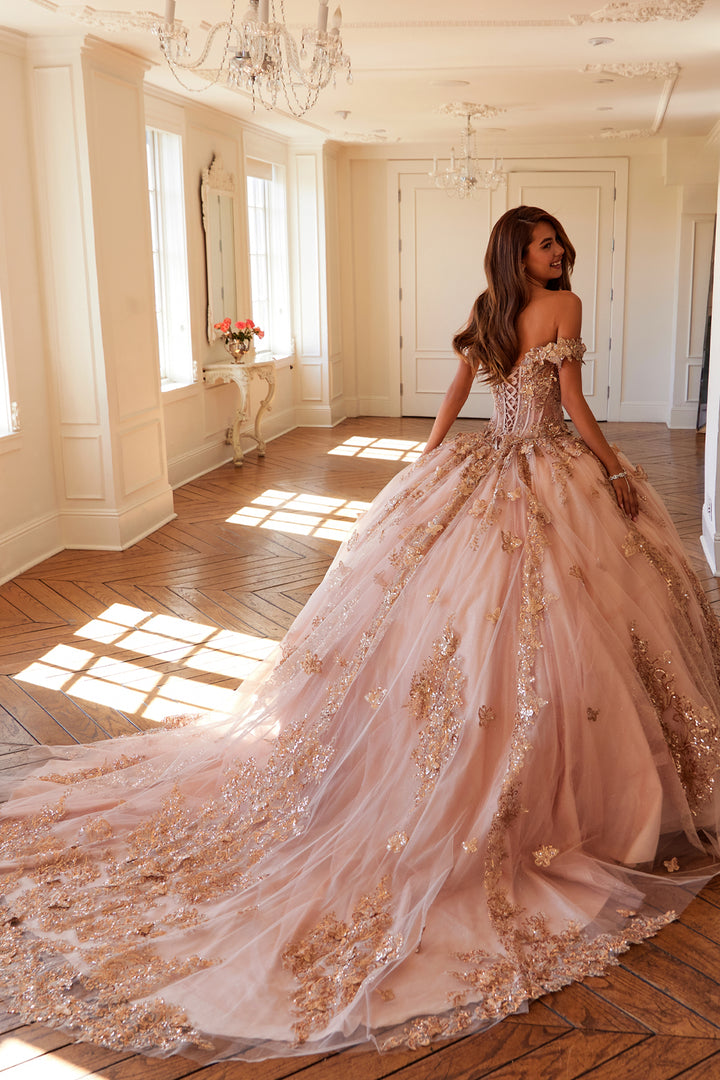 Applique Off Shoulder Ball Gown by Juliet JT1485J