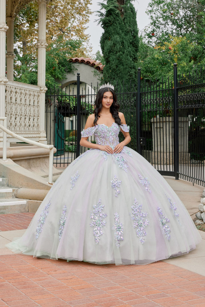 Applique Off Shoulder Ball Gown by Juliet JT1479J