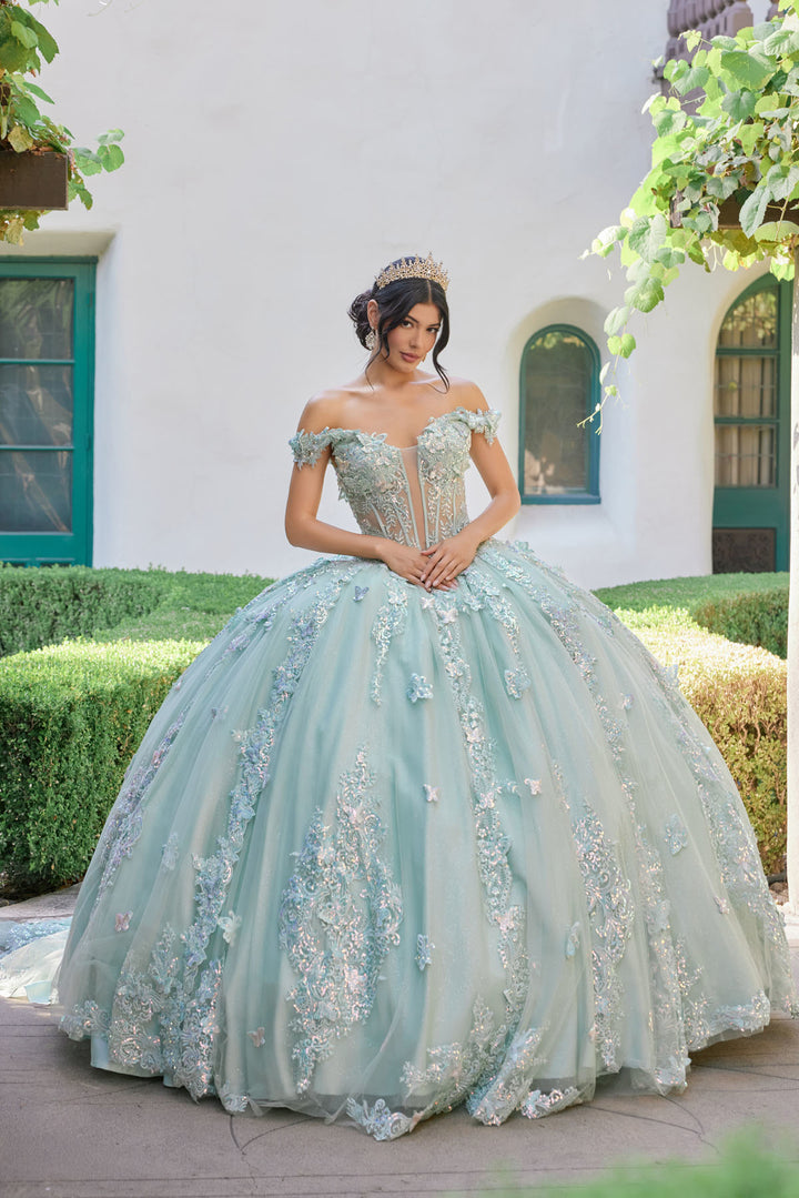 Applique Off Shoulder Ball Gown by Juliet JT1485J