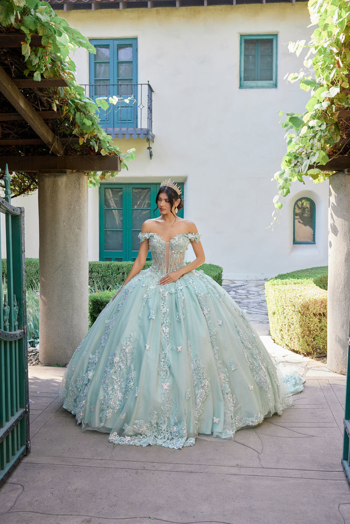 Applique Off Shoulder Ball Gown by Juliet JT1485J