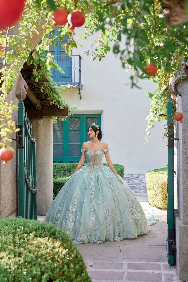 Applique Off Shoulder Ball Gown by Juliet JT1485J