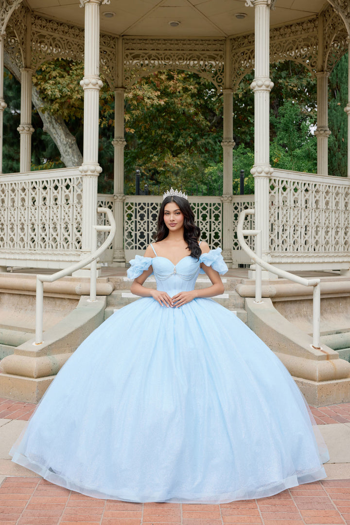 Glitter Tulle Off Shoulder Ball Gown by Juliet JT1487H