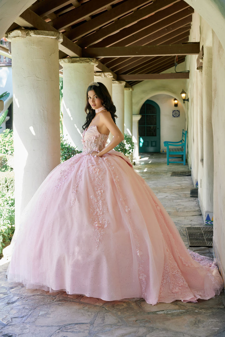 Applique Strapless Choker Ball Gown by Juliet JT1497J