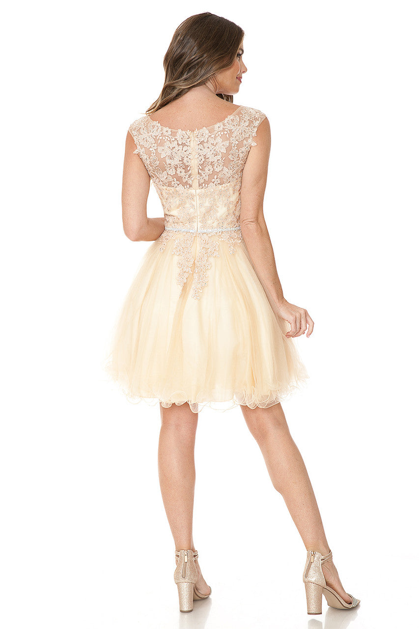 Short Cap Sleeve Ruffled Dress by Lenovia 8177