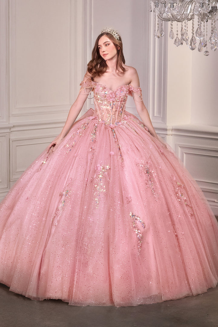 Applique Off Shoulder Ball Gown by Ladivine 15728